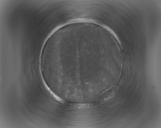 X0000082181381200702092258