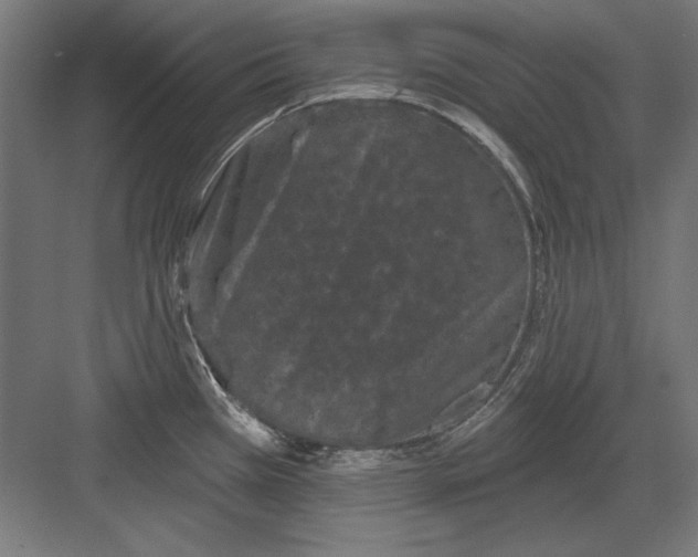 X0000082181385200702092258