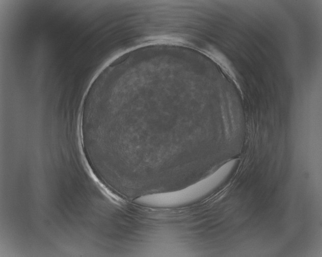 X0000082181391200702092258