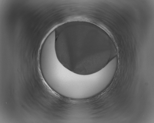 X0000082181392200702092258