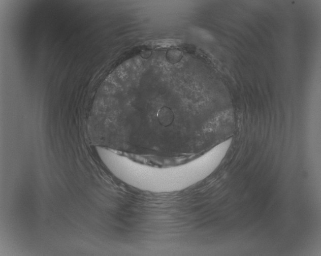 X0000082181393200702092257