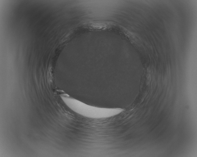 X0000082181394200702092257