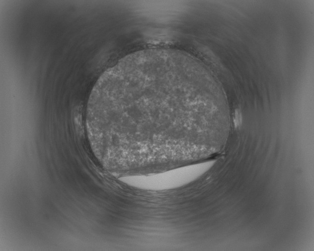 X0000082181396200702092257