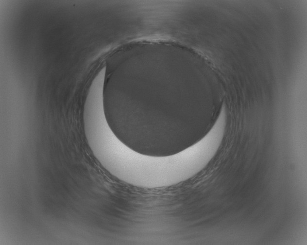 X0000082181398200702092257