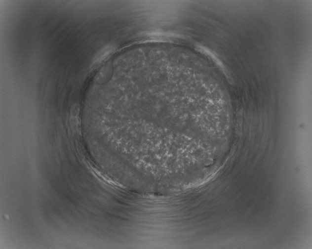 X0000082181403200702092257