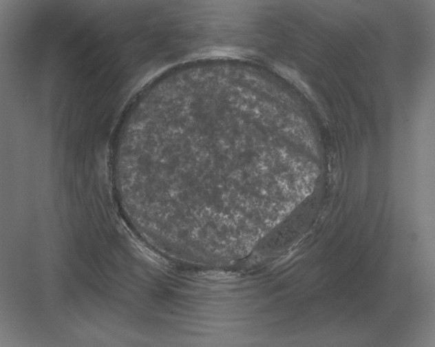 X0000082181404200702092257
