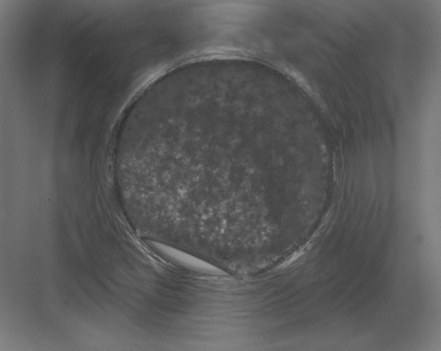 X0000082181405200702092257