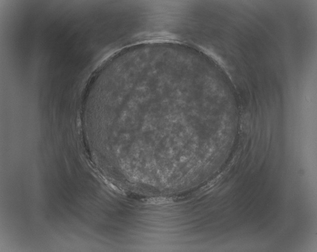 X0000082181407200702092257