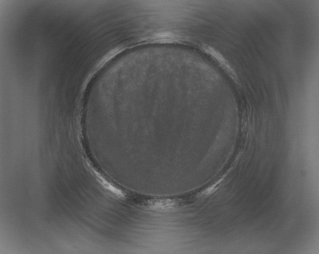 X0000082181410200702092257