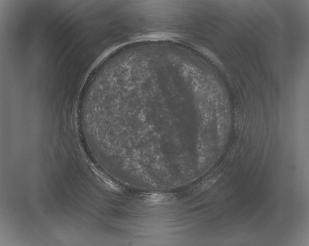 X0000082181412200702092257