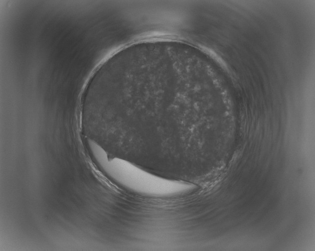 X0000082181413200702092257