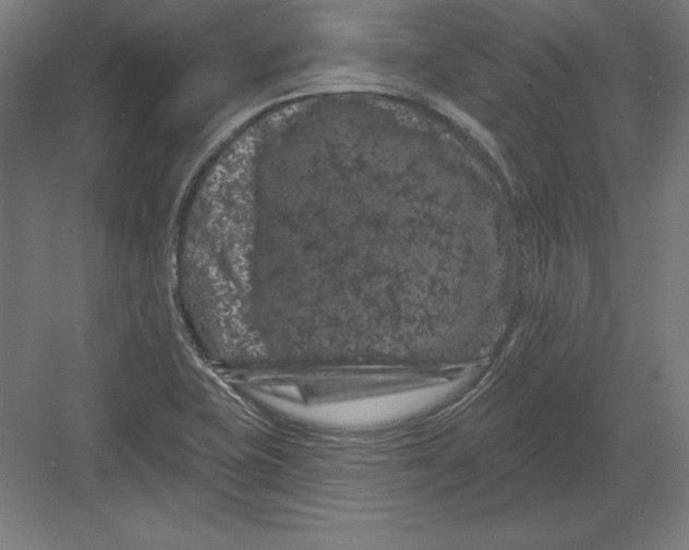 X0000082181415200702092257