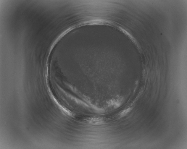 X0000082181418200702092257