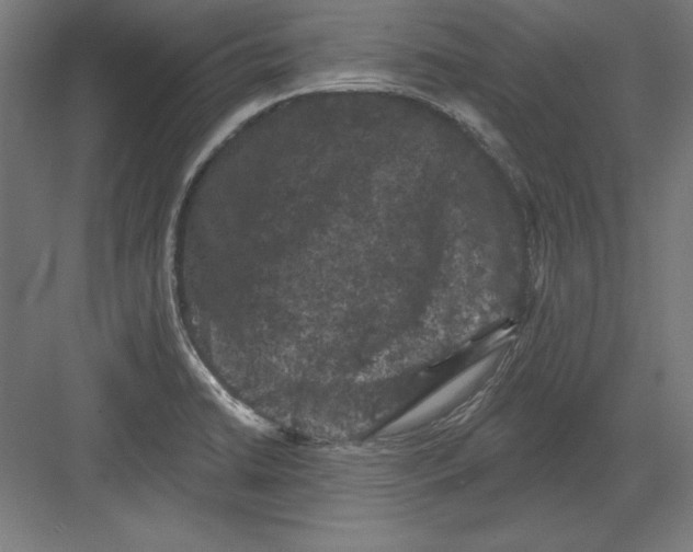 X0000082181422200702092257