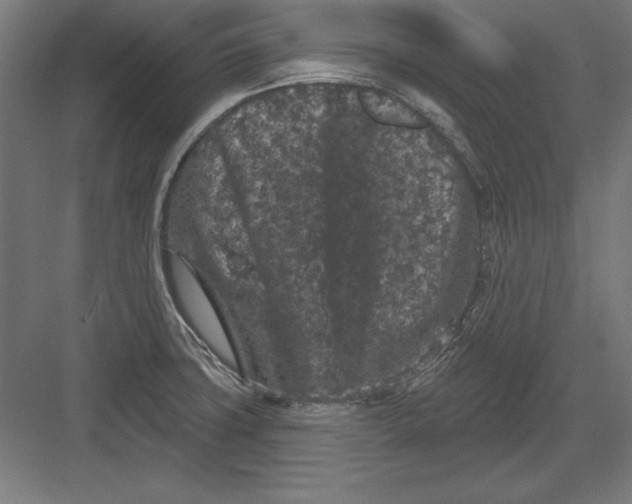 X0000082181427200702092258