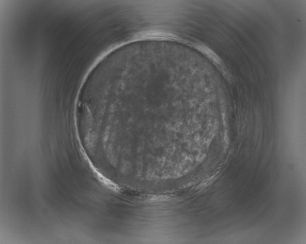 X0000082181430200702092258