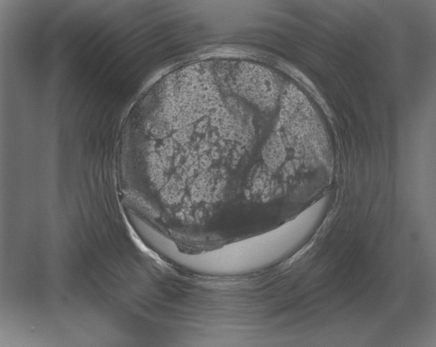X0000082181433200702092258