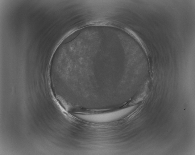 X0000082181434200702092258