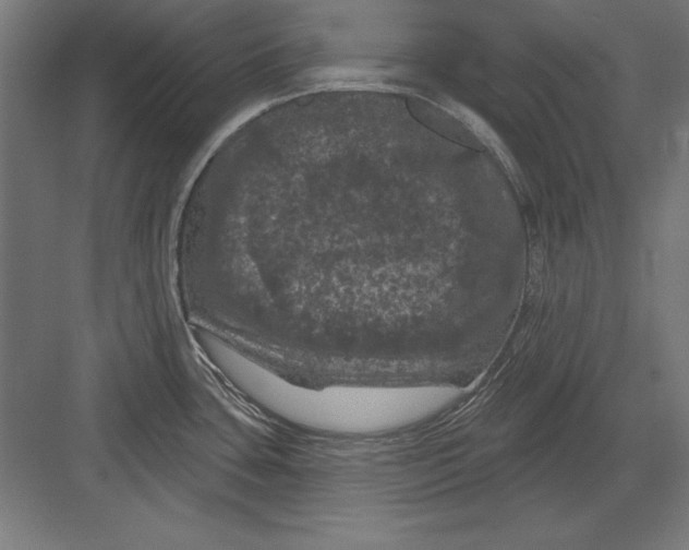 X0000082181435200702092258