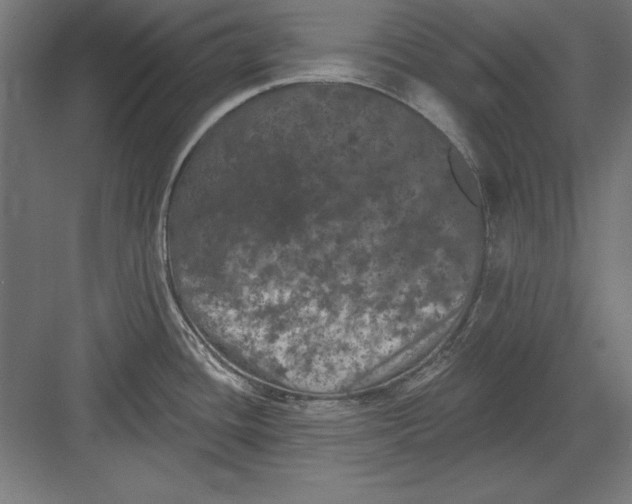 X0000082181436200702092258