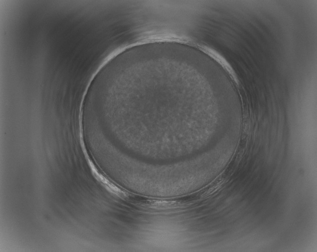 X0000082181439200702092258