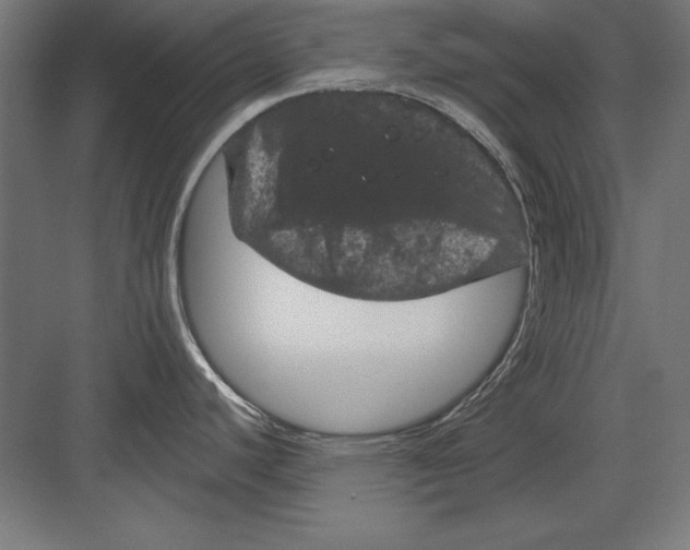 X0000082181440200702092258
