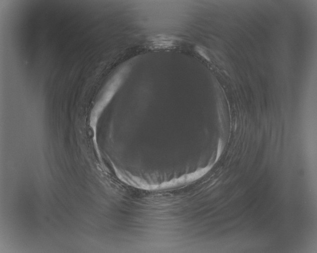 X0000082181441200702092257