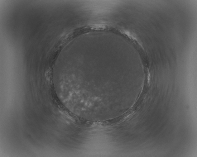 X0000082181445200702092257