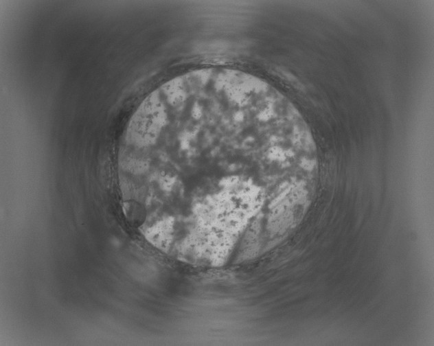 X0000082181446200702092257