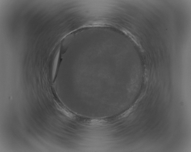 X0000082181449200702092257