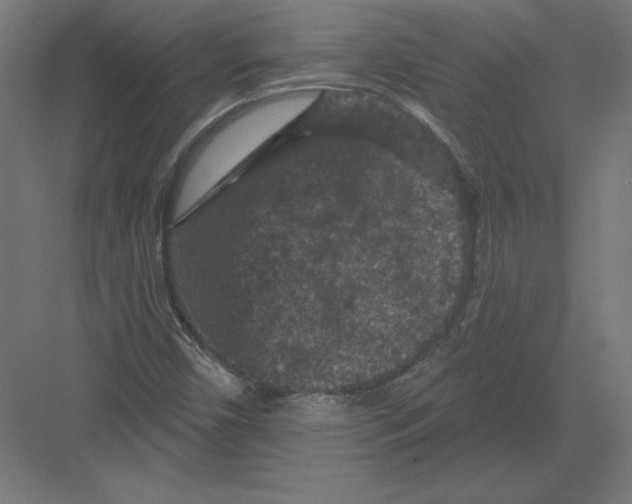 X0000082181450200702092257