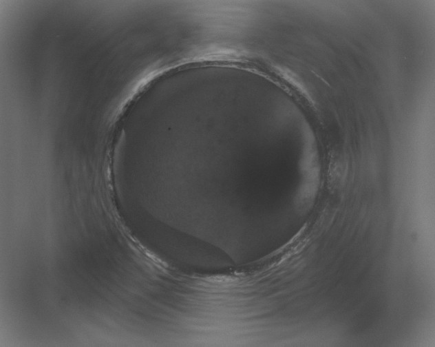 X0000082181455200702092257