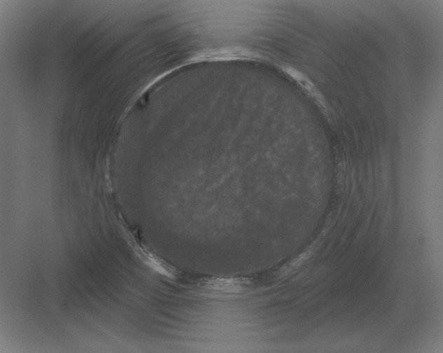 X0000082181457200702092257