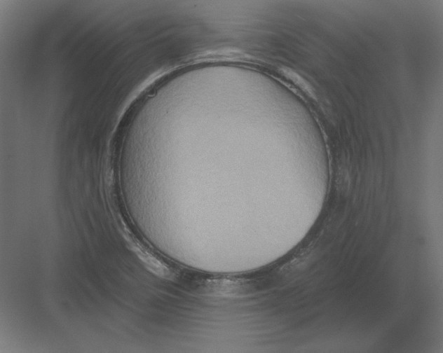 X0000082181458200702092257