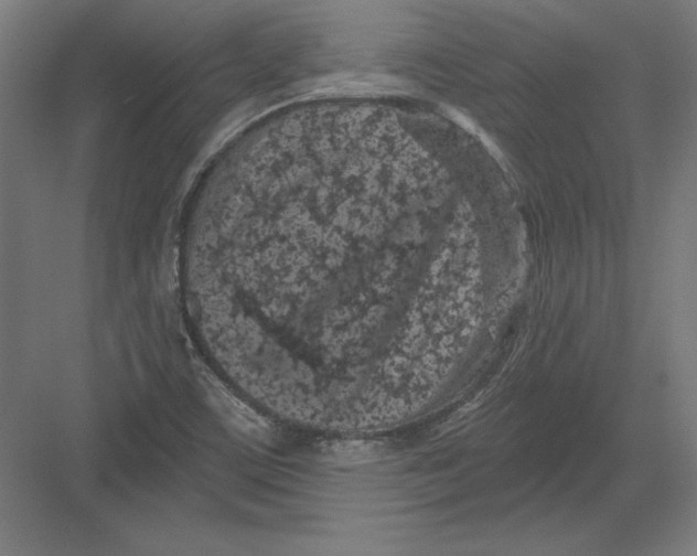X0000082181459200702092257