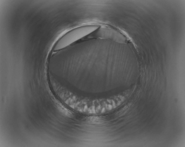 X0000082181463200702092257