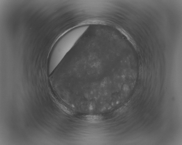 X0000082181465200702092257