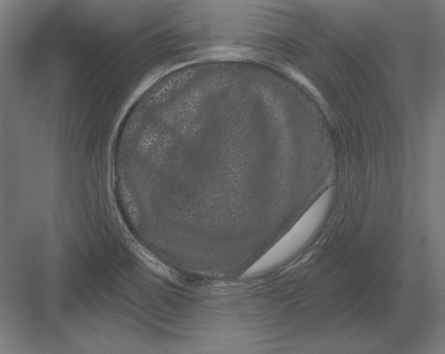 X0000082181467200702092257