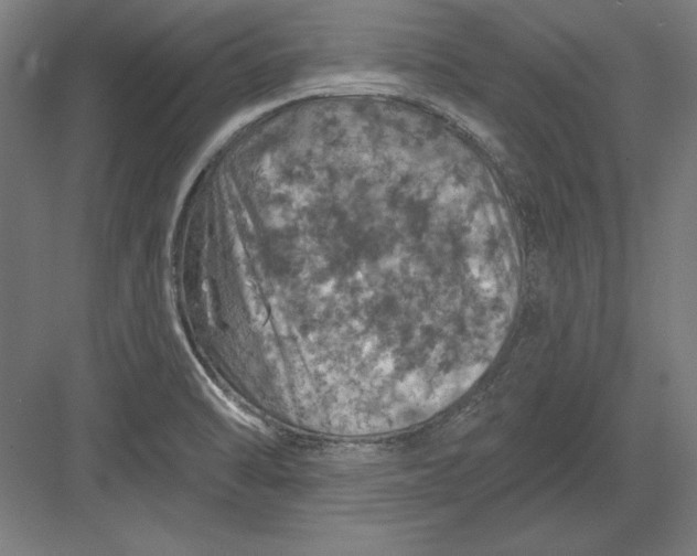 X0000082181470200702092257