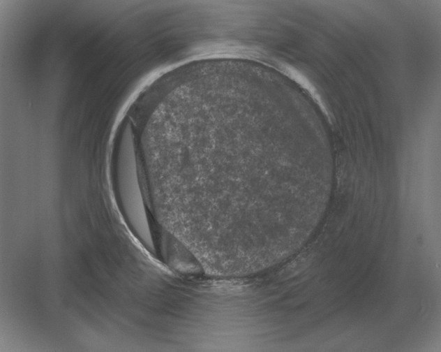X0000082181472200702092256