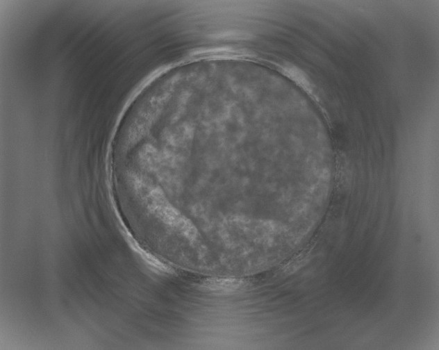 X0000082181474200702092256