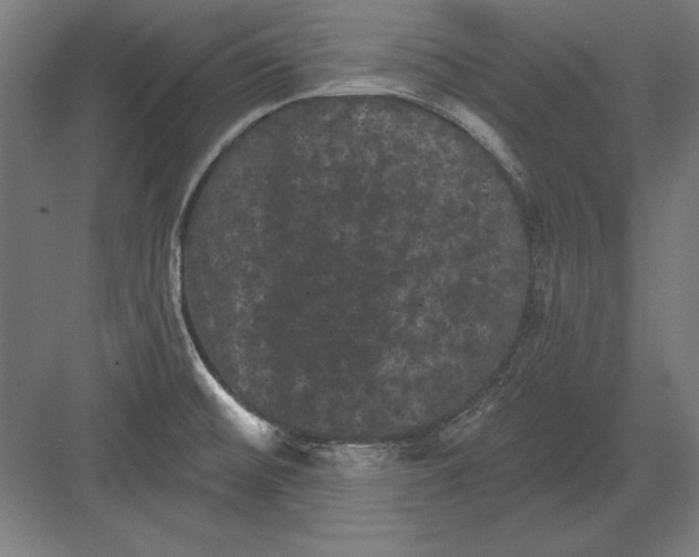 X0000082181476200702092256