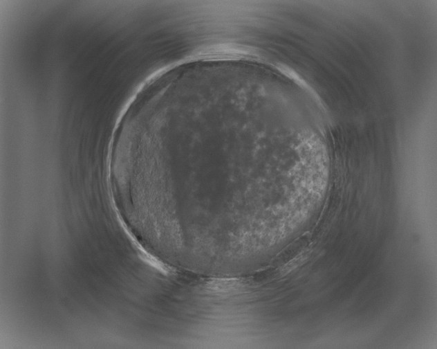 X0000082181477200702092256