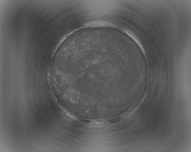 X0000082181481200702092256