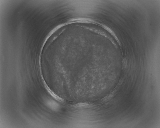X0000082181482200702092256