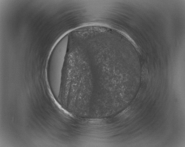 X0000082181484200702092256
