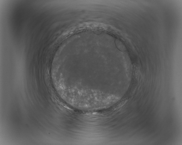 X0000082181489200702092255