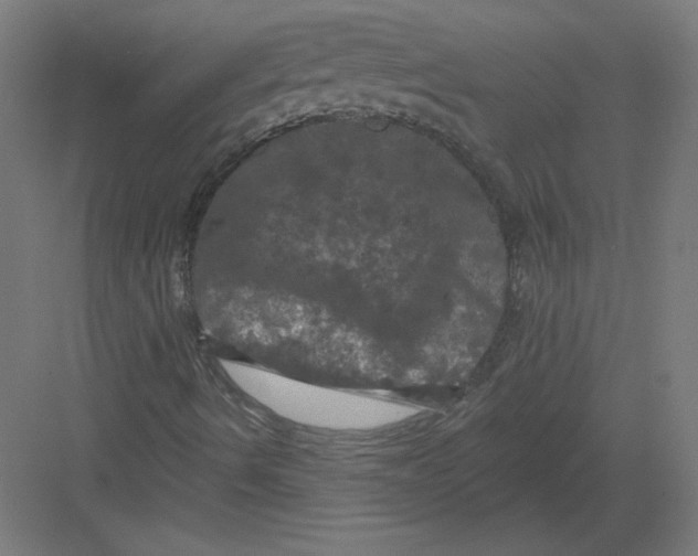 X0000082181490200702092255