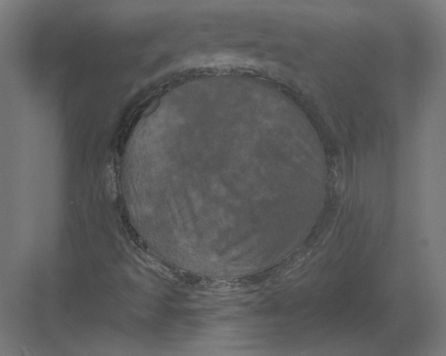 X0000082181493200702092255