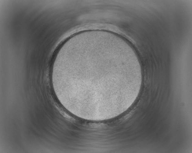 X0000082181498200702092256